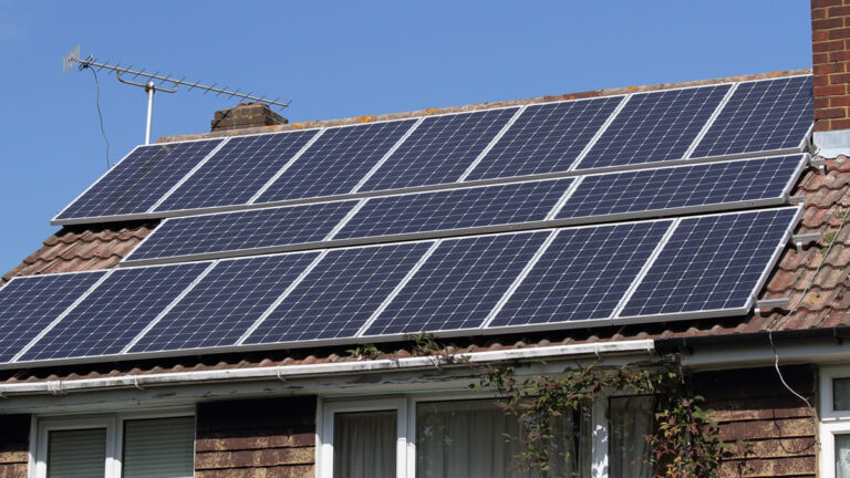 What Your Solar Business Needs to Thrive